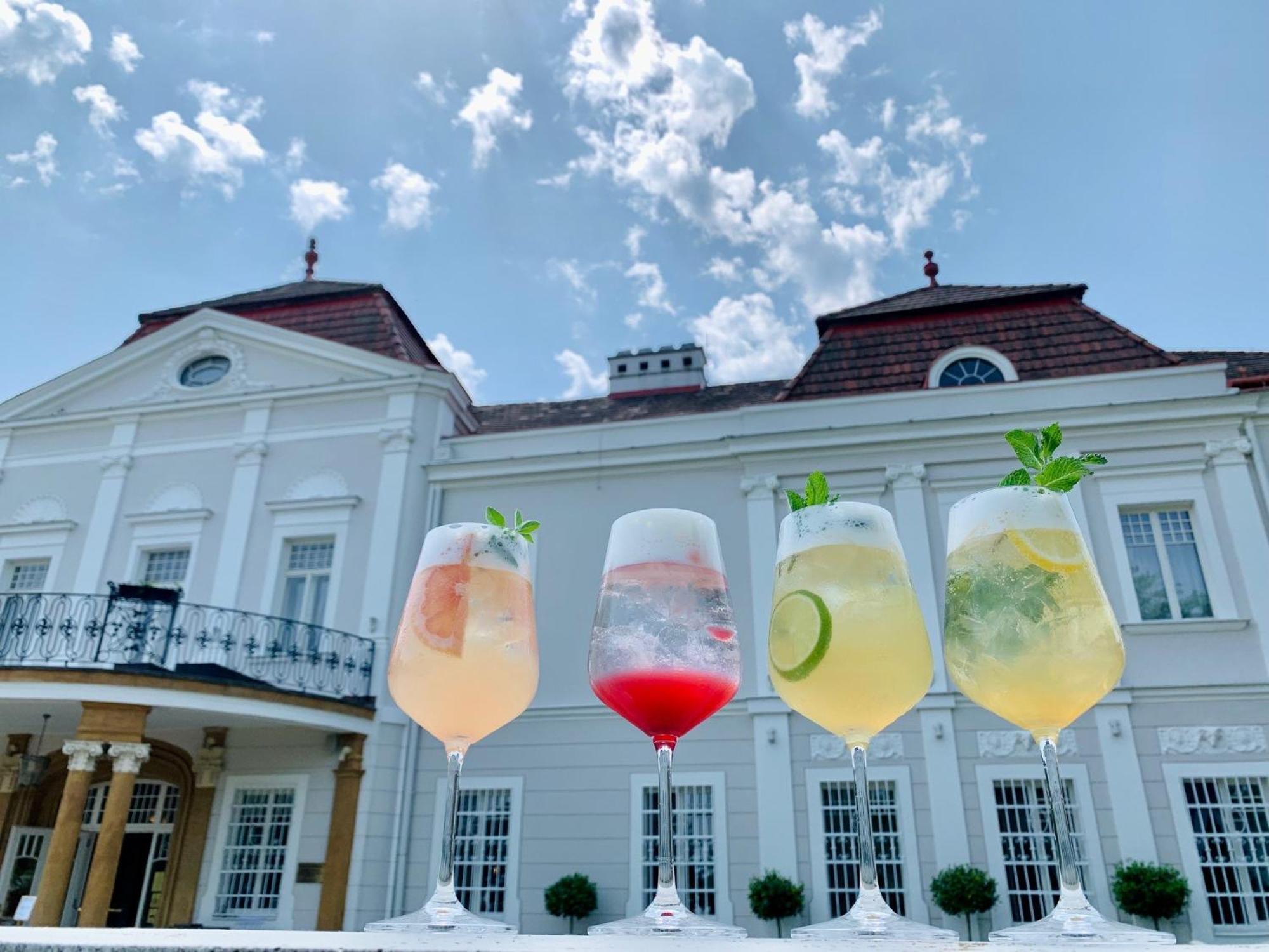 Art Hotel Kastiel Tomášov 외부 사진
